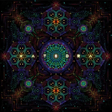 We Are Not Alone