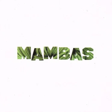 Wasabi Baby by Mambas - album cover
