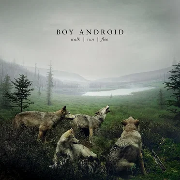 Walk Run Flee by Boy Android - album cover