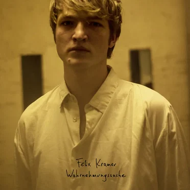 Wahrnehmungssache by Felix Kramer - album cover