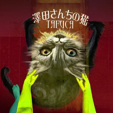 澤田さんちの猫