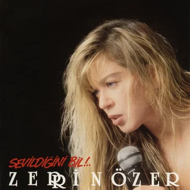 Sevildiğini Bil!.. by Zerrin Özer - album cover