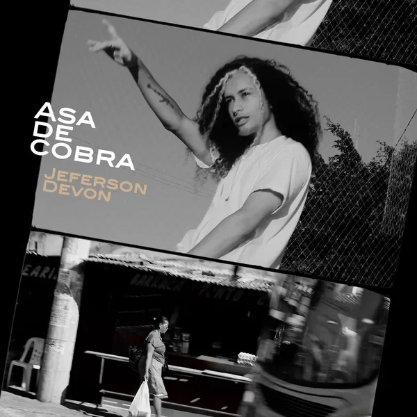 Asa de Cobra