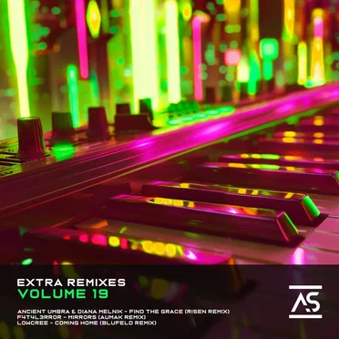 Extra Remixes, Vol. 19 by Various Artists - album cover