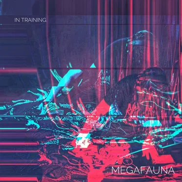 in training. by MEGAFAUNA - album cover