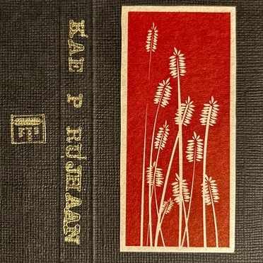 Geographical & Temporal Perimeters by Ķæ p. Rujhaan - album cover