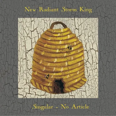 Singular - No Article
