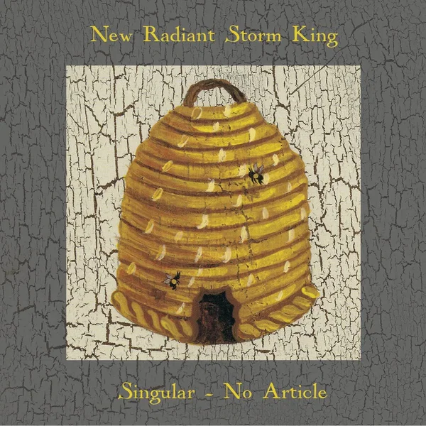 Singular - No Article