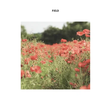 Field