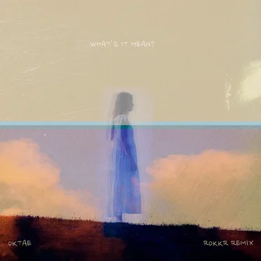 What’s It Mean? (Rokkr remix)