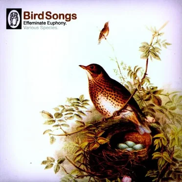 Bird Songs by Various Artists - album cover