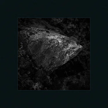 Planet Plankton by Adam Kroll - album cover