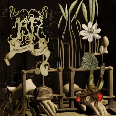 Sanguinaria misericordia