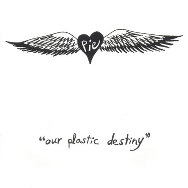 Our Plastic Destiny