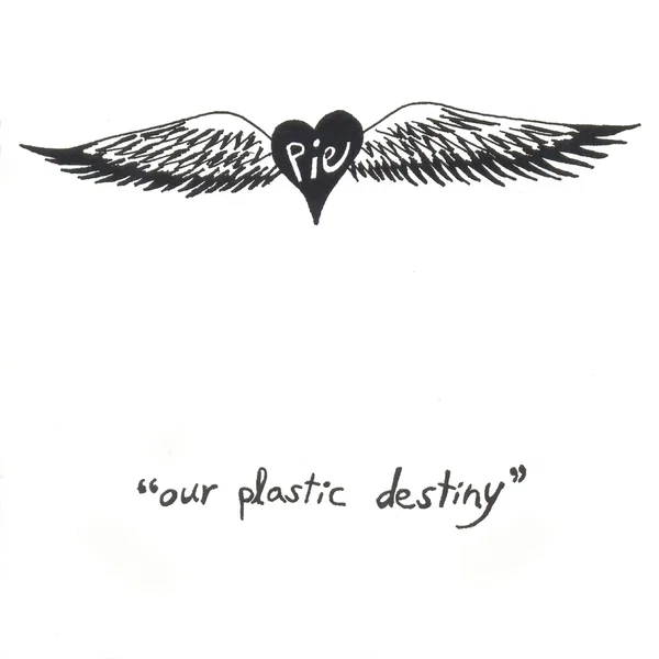 Our Plastic Destiny