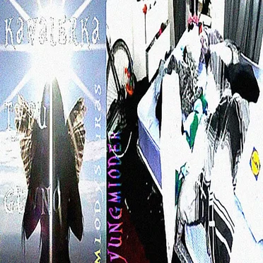 kawalerka typu GUWNO