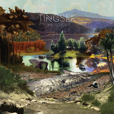 Amygdala by Tingsek - album cover