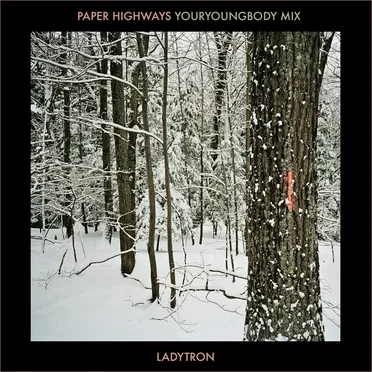 Paper Highways (Youryoungbody remix)