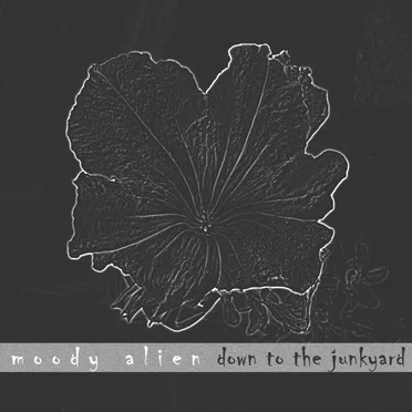 Down to the Junkyard by moody alien - album cover