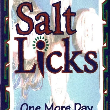 One more day by Salt Licks - album cover
