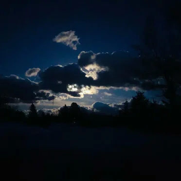 Electronic Dance Music for Cats