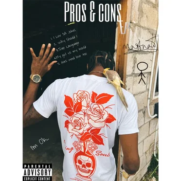 Pros & Cons