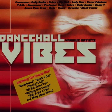 Dancehall Vibes by Various Artists - album cover