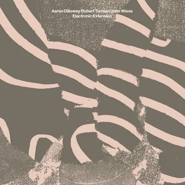 Electronic Extension