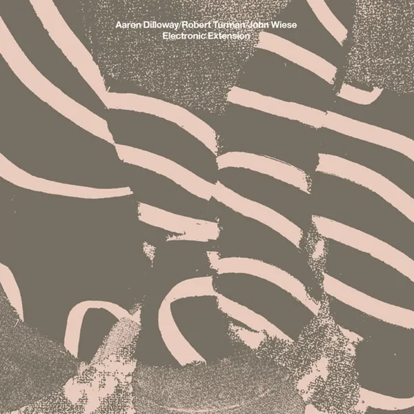 Electronic Extension