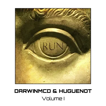 Run: Remixes Volume I by Darwinmcd - album cover