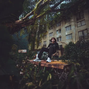 Dans la jungle