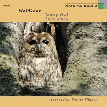 Waldkauz by Walter Tilgner - album cover