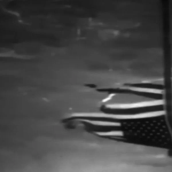 Flags Battered By Cold Winds