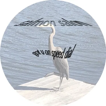 got u on speed dial by salmon salon - album cover