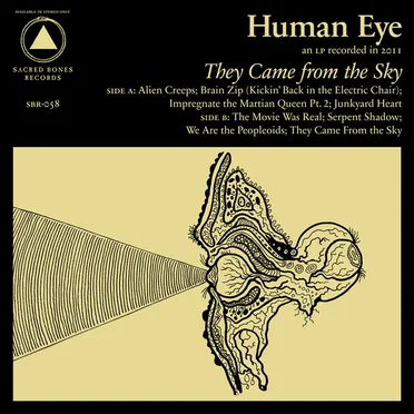 They Came From the Sky