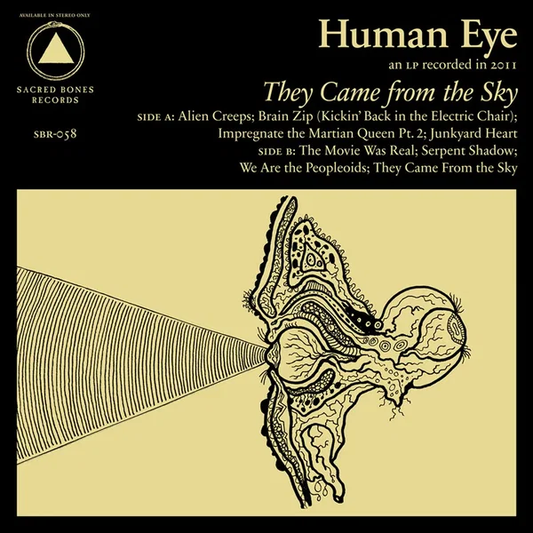 They Came From the Sky