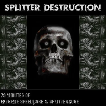 Splitter Destruction by Various Artists - album cover
