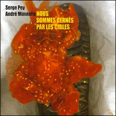 Nous sommes cernés par les cibles