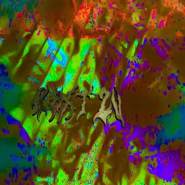 NEXT2U by Tiny Crash - album cover