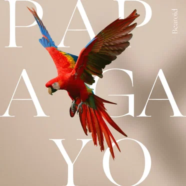 Papagayo by Bearoid - album cover