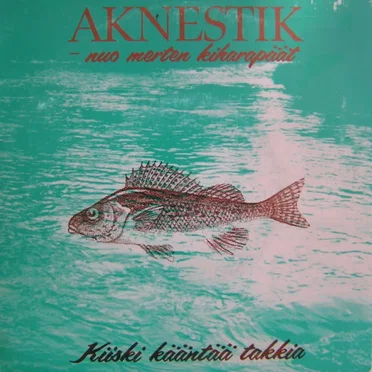 Kiiski kääntää takkia / Mollijoilotus (Enstexhousuissa)