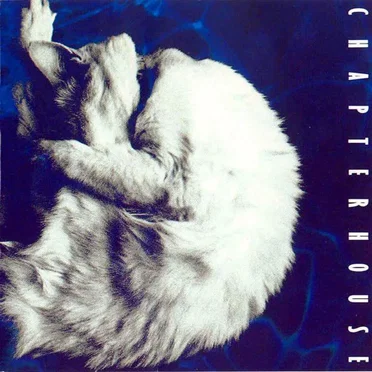 Whirlpool by Chapterhouse - album cover