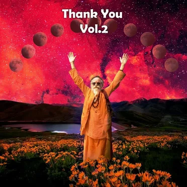 Thank You, Vol.2 by Various Artists - album cover