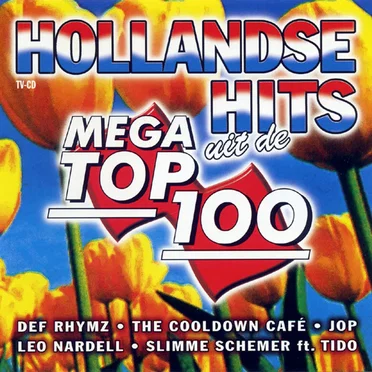 Hollandse hits uit De Mega Top 100 by Various Artists - album cover