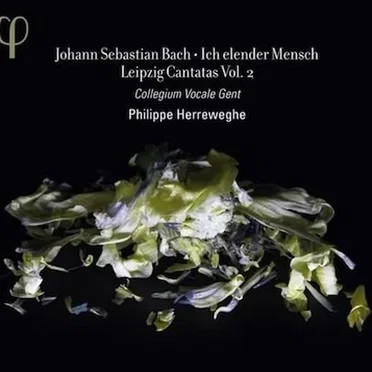 Ich elender Mensch & Leipzig Cantatas (BWV 44, 48, 73, 109)