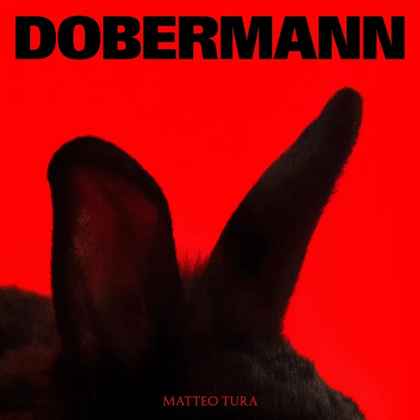 DOBERMANN