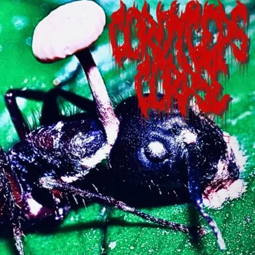 Corpse Collector