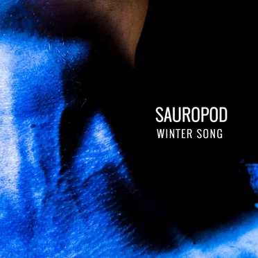 Winter Song by Sauropod - album cover