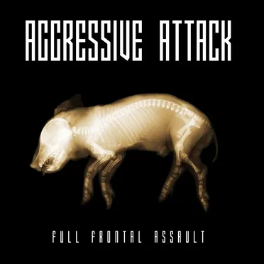 Full Frontal Assault by Aggressive Attack - album cover