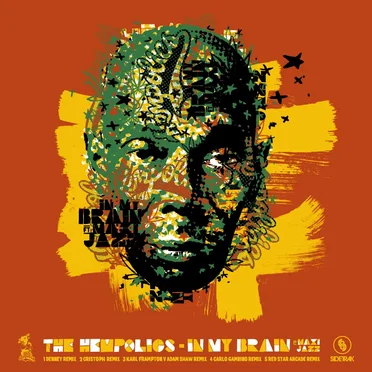 In My Brain (remixes)